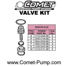 5025.0014.00 CHECK VALVE KIT by COMET PUMPS (5731)
